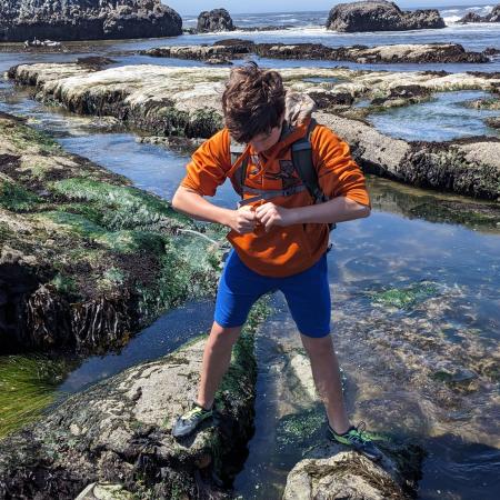 A kid stands in the water holding wildlife on the Oregon coast